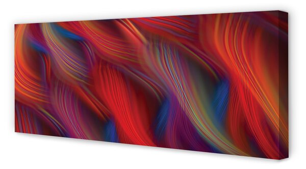 Tablouri canvas dungi colorate fractali