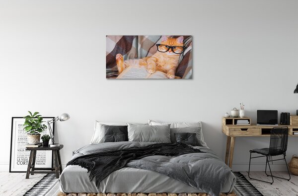 Tablouri canvas Pisica cititor