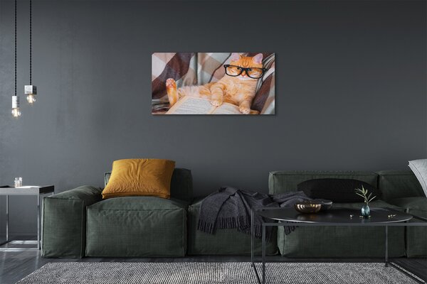 Tablouri canvas Pisica cititor