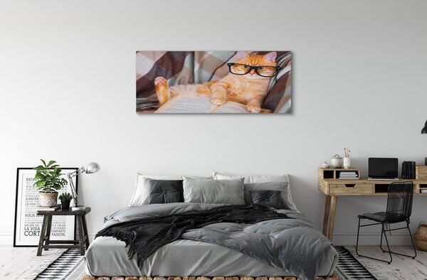 Tablouri canvas Pisica cititor