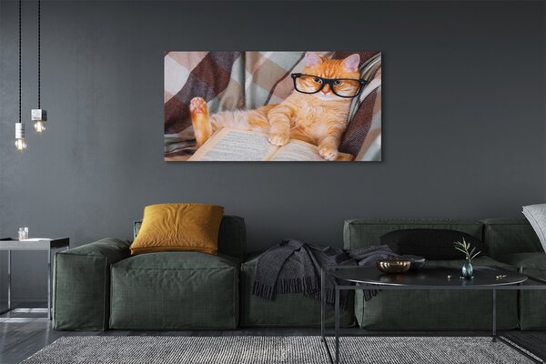 Tablouri canvas Pisica cititor