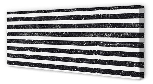 Tablouri canvas Zebra dungi pete