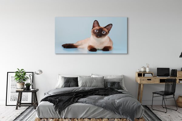Tablouri canvas situată pisica
