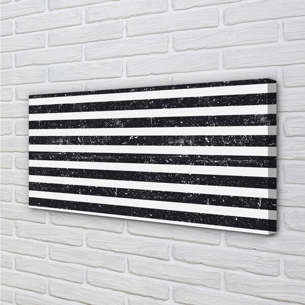 Tablouri canvas Zebra dungi pete