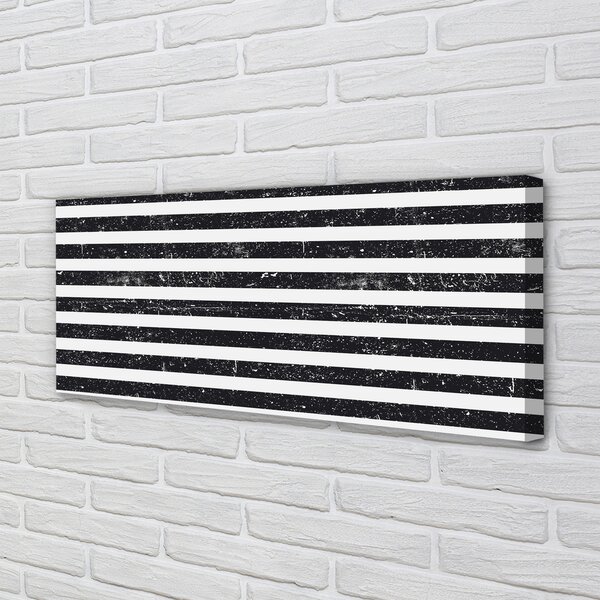 Tablouri canvas Zebra dungi pete