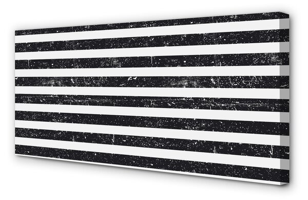 Tablouri canvas Zebra dungi pete