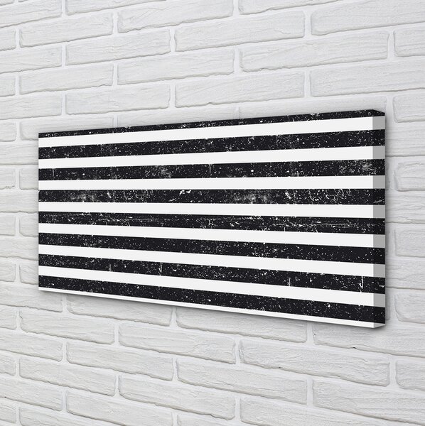 Tablouri canvas Zebra dungi pete