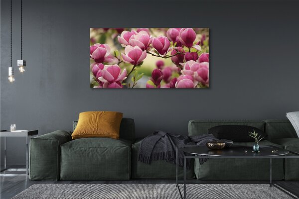 Tablouri canvas flori de copac