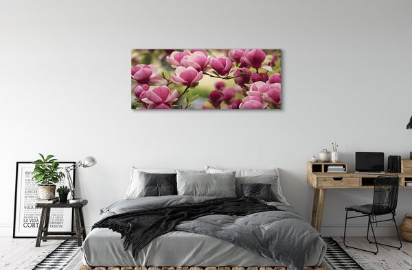 Tablouri canvas flori de copac