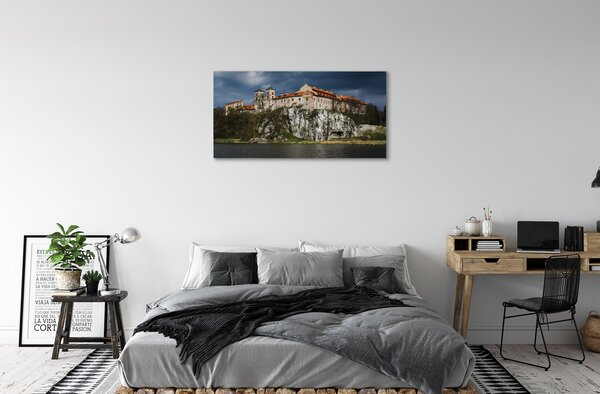 Tablouri canvas Cracovia castel River