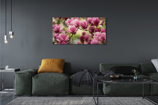 Tablouri canvas flori de copac
