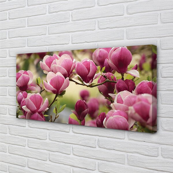 Tablouri canvas flori de copac