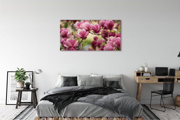 Tablouri canvas flori de copac