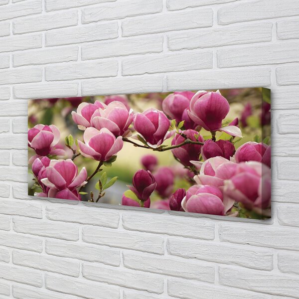 Tablouri canvas flori de copac