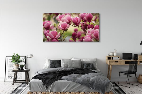 Tablouri canvas flori de copac