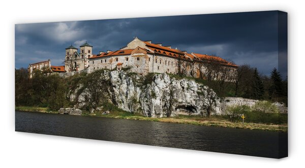 Tablouri canvas Cracovia castel River