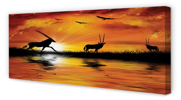 Tablouri canvas Păsări Lacul de Vest