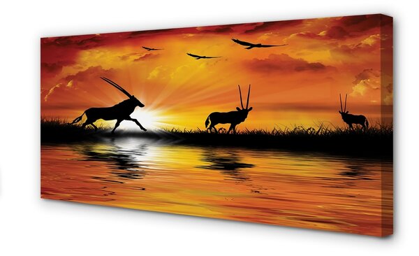 Tablouri canvas Păsări Lacul de Vest