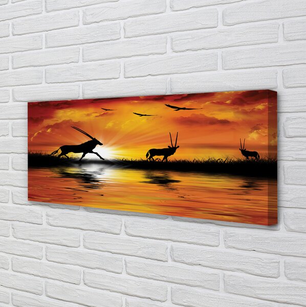Tablouri canvas Păsări Lacul de Vest