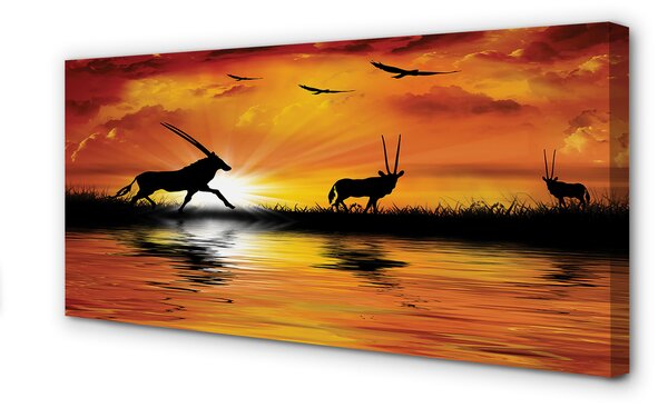 Tablouri canvas Păsări Lacul de Vest