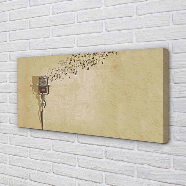 Tablouri canvas note de microfon