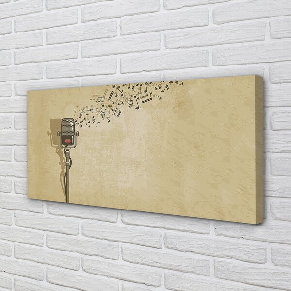 Tablouri canvas note de microfon