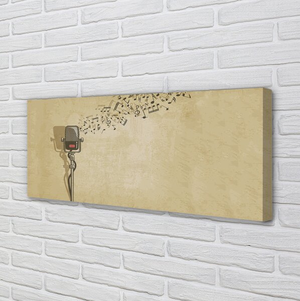 Tablouri canvas note de microfon