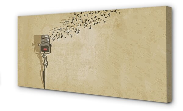 Tablouri canvas note de microfon