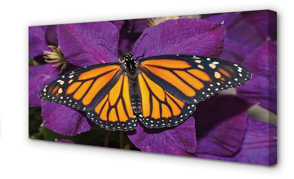 Tablouri canvas flori colorate fluture