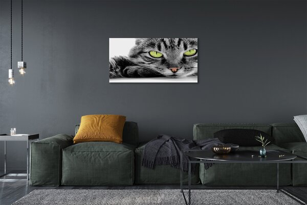 Tablouri canvas pisică gri-negru