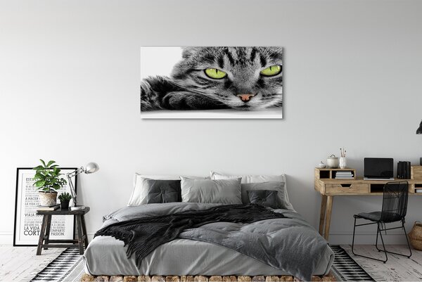Tablouri canvas pisică gri-negru