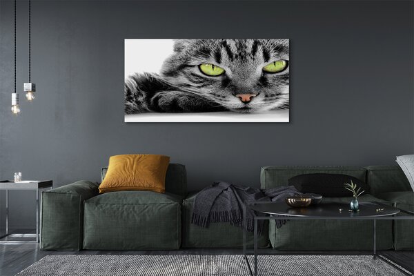 Tablouri canvas pisică gri-negru