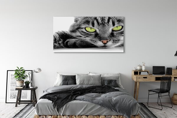 Tablouri canvas pisică gri-negru