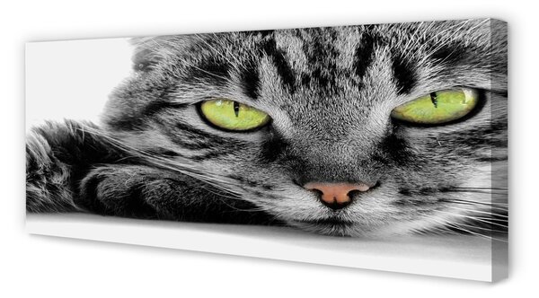 Tablouri canvas pisică gri-negru