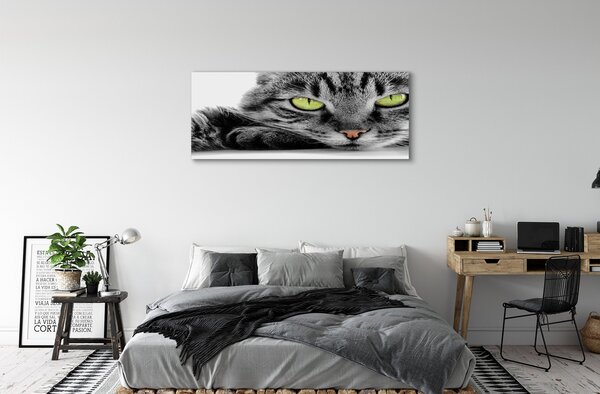 Tablouri canvas pisică gri-negru