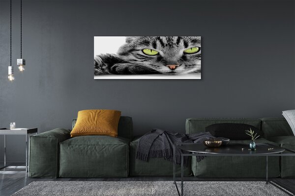 Tablouri canvas pisică gri-negru