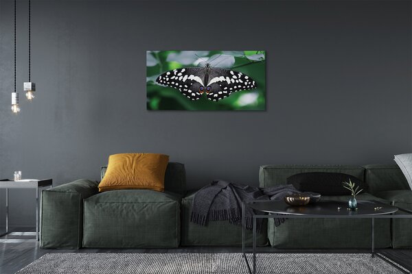 Tablouri canvas frunze fluture colorate