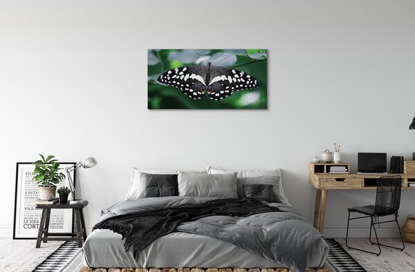 Tablouri canvas frunze fluture colorate