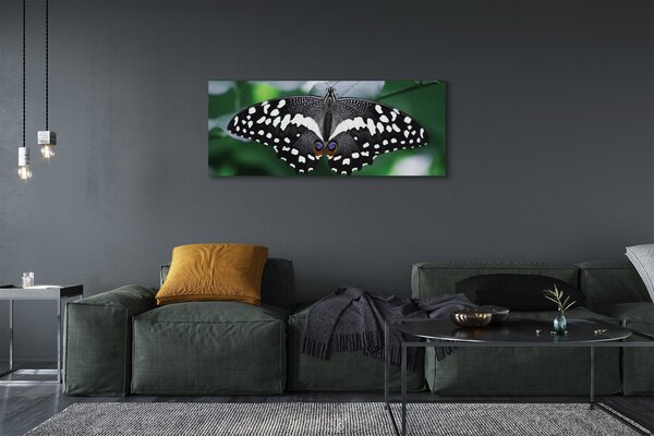 Tablouri canvas frunze fluture colorate