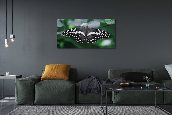 Tablouri canvas frunze fluture colorate