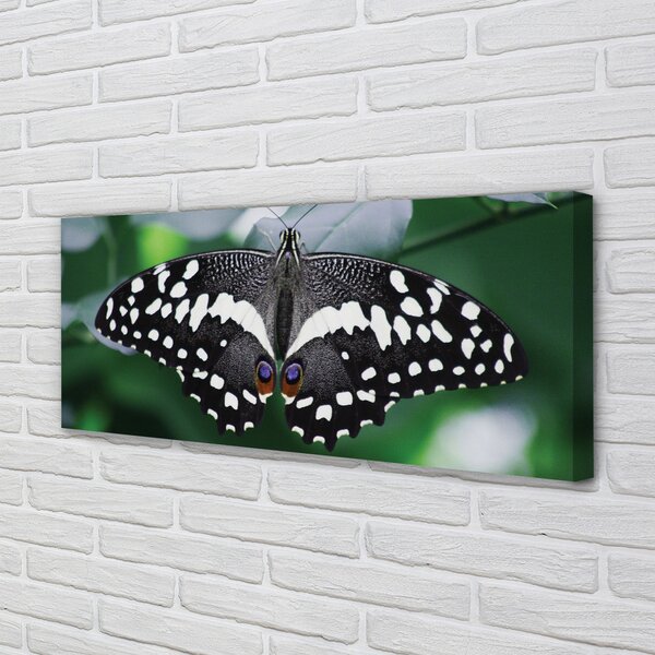 Tablouri canvas frunze fluture colorate