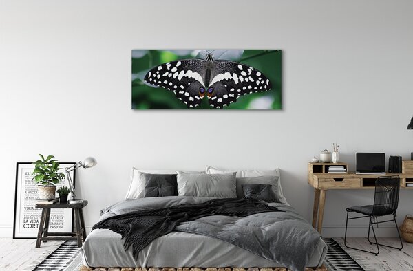 Tablouri canvas frunze fluture colorate