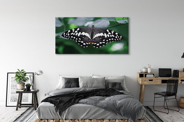 Tablouri canvas frunze fluture colorate