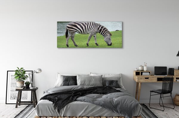 Tablouri canvas zebră