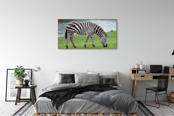 Tablouri canvas zebră