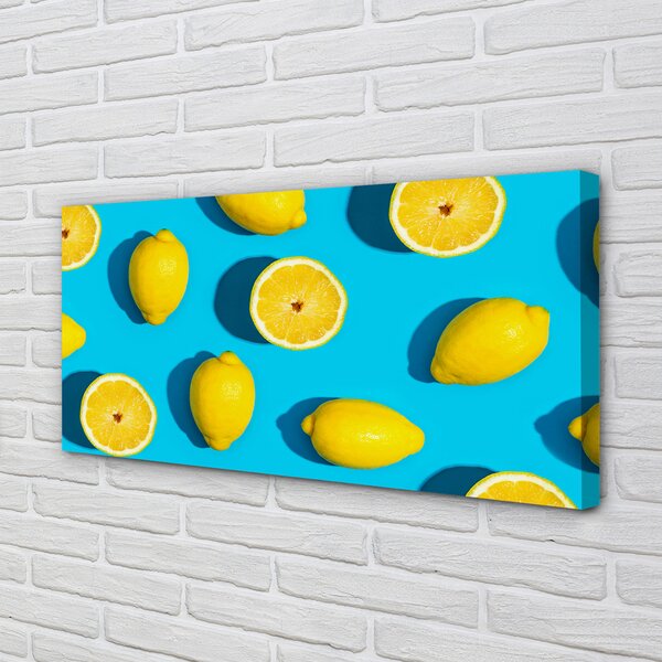 Tablouri canvas Lamaile pe un fundal albastru