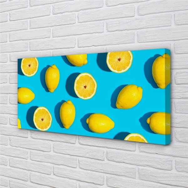 Tablouri canvas Lamaile pe un fundal albastru