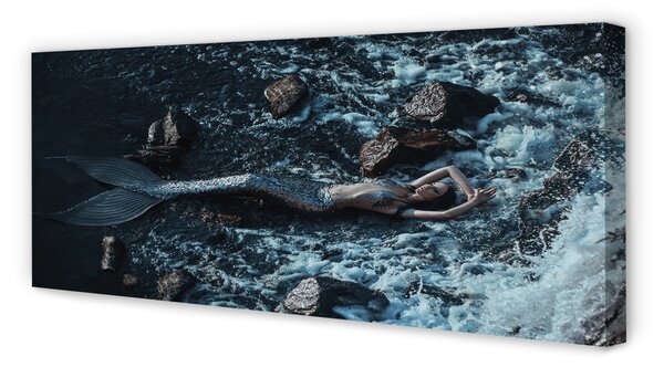 Tablouri canvas sirenă de mare