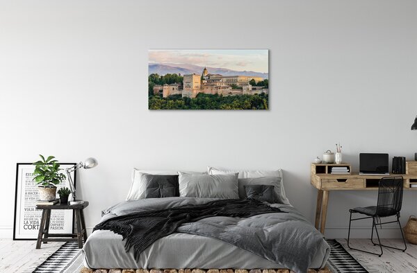 Tablouri canvas Spania Castelul de pădure de munte