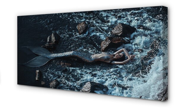 Tablouri canvas sirenă de mare